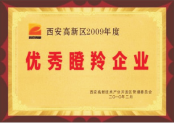 優(yōu)秀瞪羚企業(yè)